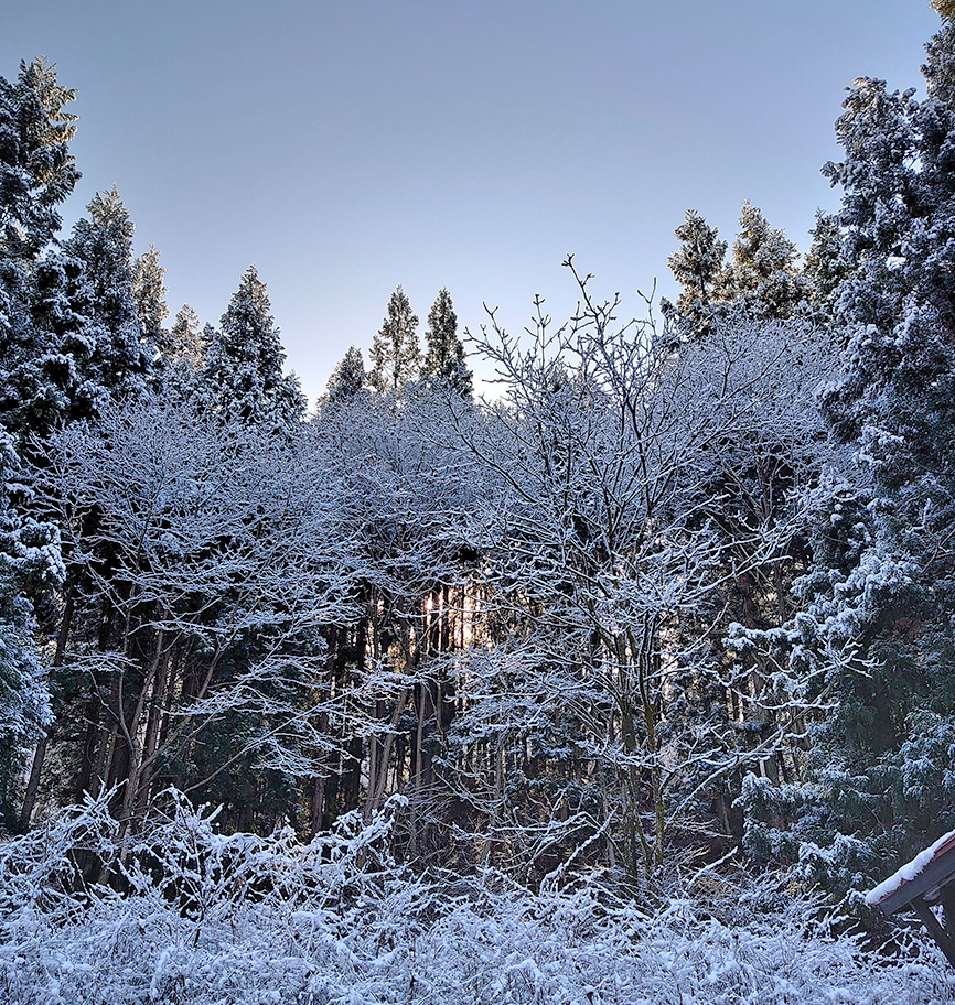 古民家の風景